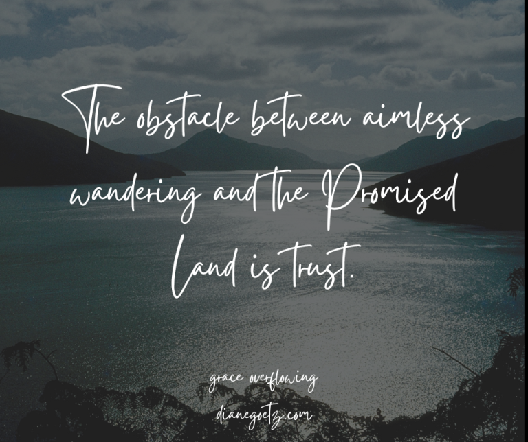 The Obstacle between aimless wandering and the Promised Land is Trust.